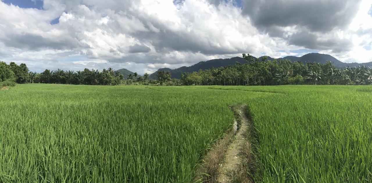 Villa Paradise Bukit Lawang Ngoại thất bức ảnh