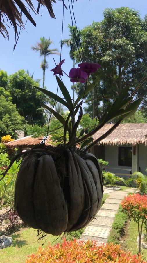 Villa Paradise Bukit Lawang Ngoại thất bức ảnh